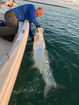 Fishing Charters in Florida Keys | Inshore Fishing