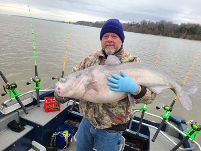 Friday Night (4-6-8 Hour) Catfish Fishing Guide Trip