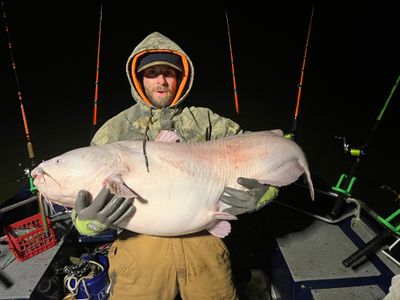 Weekday Evening (4 Hour) Catfish Fishing Guide Trip 