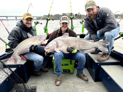 Weekend (4 Hour) Catfish Fishing Guide Trip