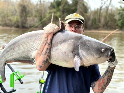 Weekend (6 Hour) Catfish Fishing Guide Trip