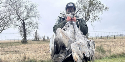 Waterfowl Outfitter | 8 Hour Hunting Trip