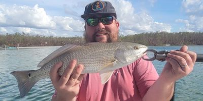 Fishing Charter Bonita Springs | 6HRS Backcountry Fishing