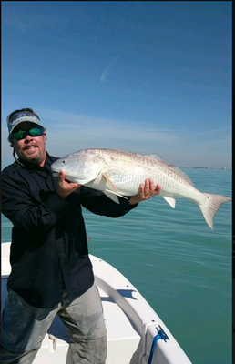 Bonita Springs Fishing Charter | 4HRS Inshore fishing