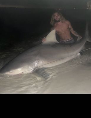 5 Hour Bull Shark Trip