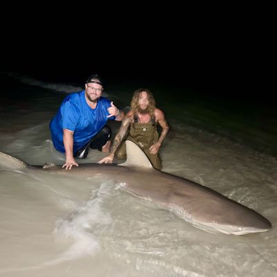 6 Hour Family Beach Shark Charter