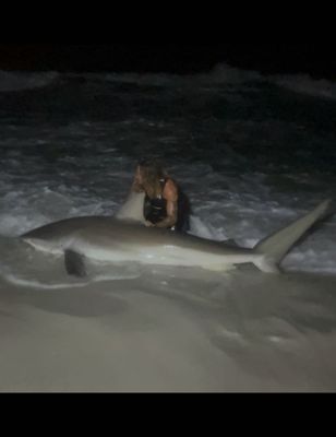 12 Hour Fall Dusky Shark Special Trip