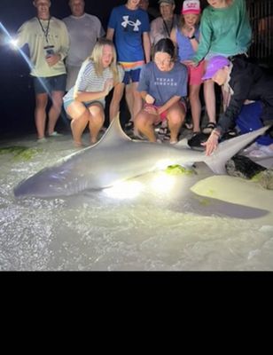 4 Hour Family Beach Shark Fishing Trip