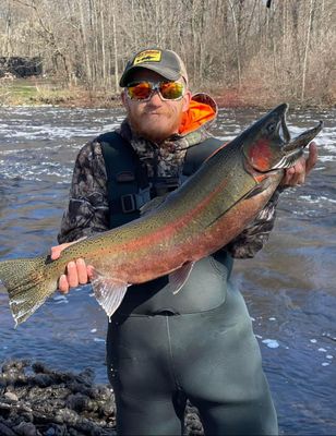 Fall/Winter steelhead & Trout