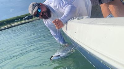 Islamorada Fishing Charters | Inshore or Patch Fishing 