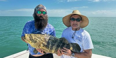 Best Islamorada Fishing Charters | 6 Hour Gulf Wreck Charter