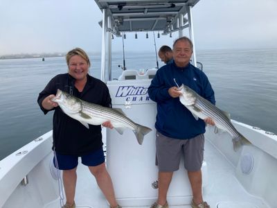 Fishing Charters Hampton Bays NY | Quick Evening Trip