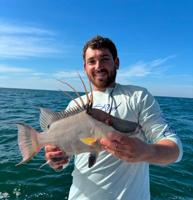 Private Full-Day Nearshore Fishing Trip