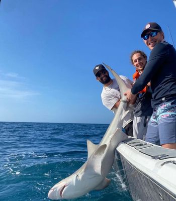 Private Shark Fishing Trip