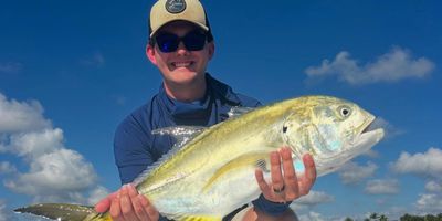 Jupiter Half Day Morning Inshore Fishing