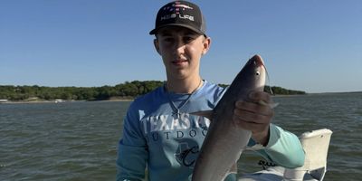 Lake Texoma Striper & Catfish Morning Trip