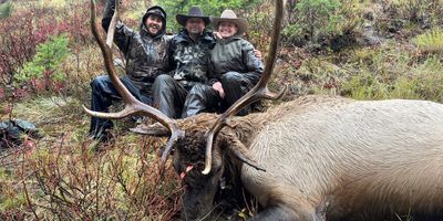 Backcountry Elk Hunts 