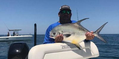 Tampa Bay Fishing Charters | 2 Hour To 8 Hour Excursions