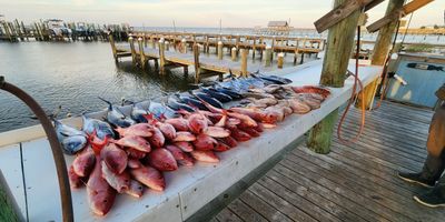 Fishing Charters in Fort Morgan AL| 14HRS Offshore Trip