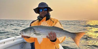 Fishing Charters Massachusetts | Striped Bass Fishing