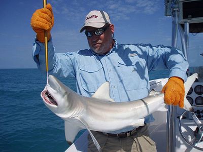 Corpus Christi Shark Fishing | Overnight Trip | Land-Based Excitement 