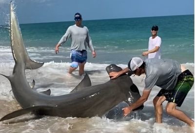 Shark Fishing Florida Charter | Bachelor Party!