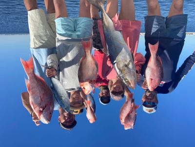 Private Full-Day Nearshore Snapper Fishing