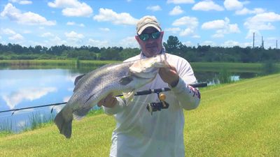 Barramundi in Florida (1-3 Anglers)