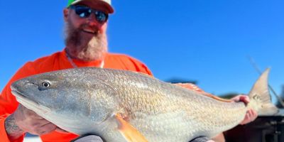 Fishing Charters in Jacksonville FL | Full Day Fishing Trip