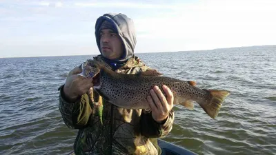 Lake Michigan Fishing Charters | Private - 4 to 8 Hour Trip