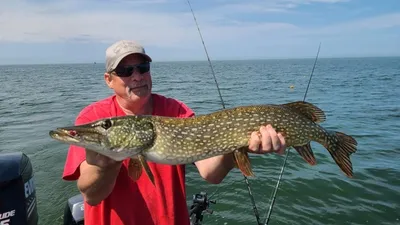 Greenbay Fishing Guides | Private - 4 to 8 Hour Trip