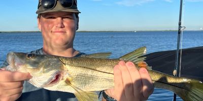 Fishing Charter Bradenton