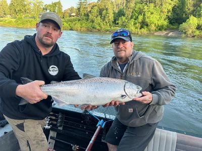 Spring Chinook North Umpqua & Main Umpqua