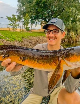 Florida Snakehead Fishing 