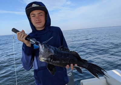 Offshore Wreck Fishing in New Jersey