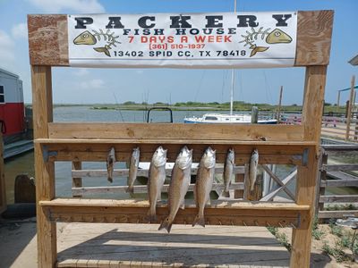 Fishing in Corpus Christi Texas | 4 Hour Trip