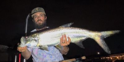 Night Dock Light Charter –Fly Fishing (6hr)