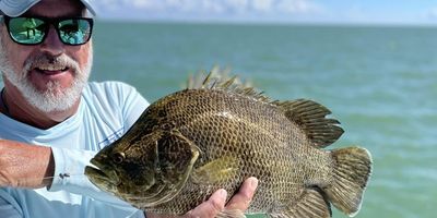 Fishing Charters Islamorada FL | Private - 4 to 6 Hour Reef Fishing Trip