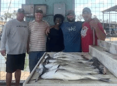 Lake Texoma Fishing Guides | 4 Hour Charter Trip