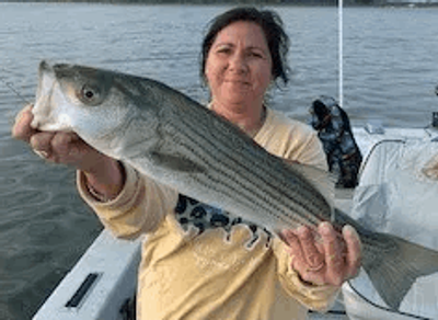 Lake Texoma Fishing Charters | 4 Hour Charter Trip