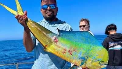 Fishing Charters California | Afternoon Fishing Trip 