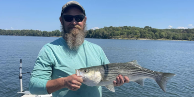 Private 5 Hour Morning Hybrid & Striped Bass Fishing Trip 