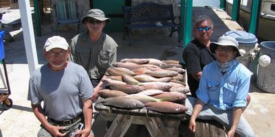 Unleash the Adventure: Marathon, Florida Fishing Trip - Hook Snapper, Grouper, Barracuda, and Beyond!