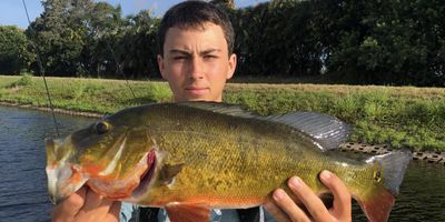 Delray Fishing Charters | 4 Hour  Exotic Species 