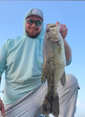 Private 4-Hour FFS Bass Fishing Trip