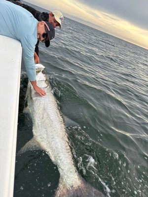 Tampa Fishing Charters | Specialty Trips For Shark And Tarpon