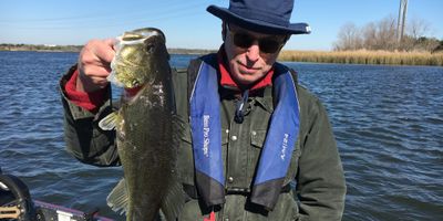 Austin Fishing | 8 Hour Charter Trip 