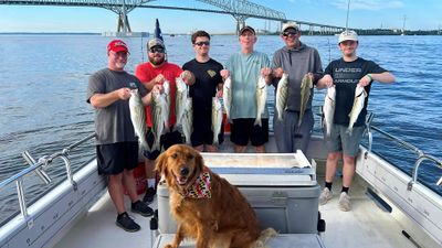 Fishing Charters on Chesapeake Bay