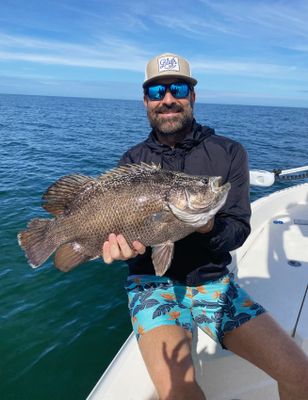 8-Hour Fishing Trip in  Belleair Bluffs, FL