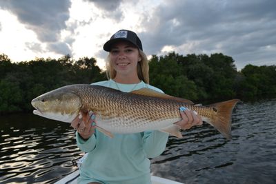 4-Hour Fishing Trip in Belleair Bluffs, FL